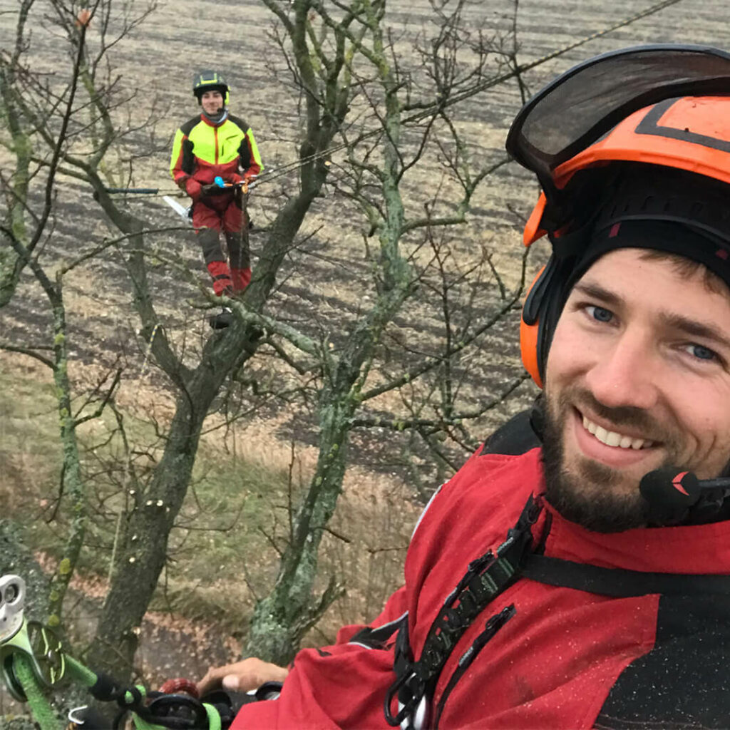 TreeView Alpin többen a fán